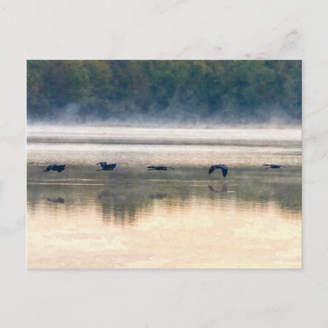 Postal Crane Flight Painterly (Anverso)