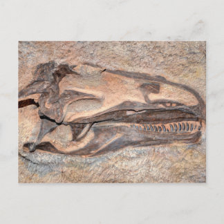 Postal Cráneo de Camarasauro - Monumento Nacional de Dino