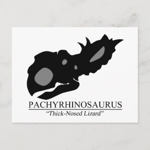 Postal Cráneo de Pachyrhinosaurus