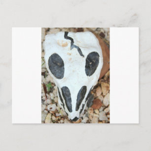 Postal cráneo pintado