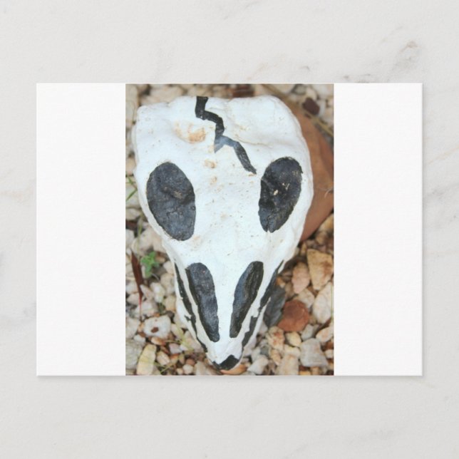 Postal cráneo pintado (Anverso)