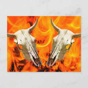 Postal Cráneo y fuego de la vaca