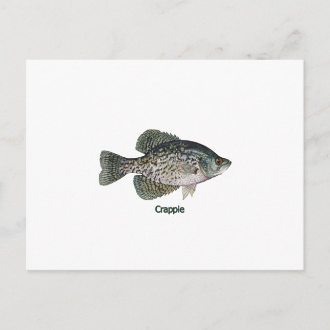 Postal Crappie (con título) (Anverso)