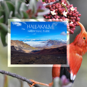 Postal Cráter Haleakala, Cumbre, Parque Nacional Haleakal
