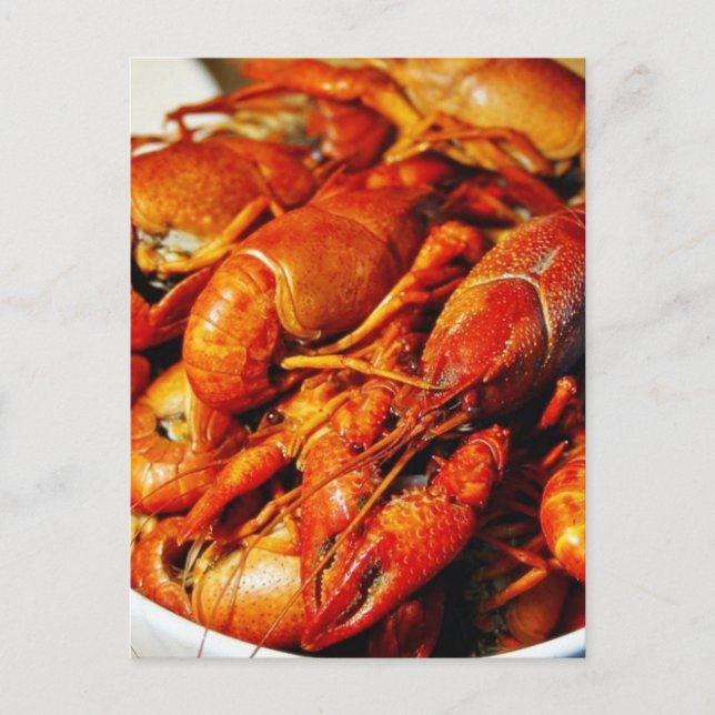 Postal Crawfish (Anverso)
