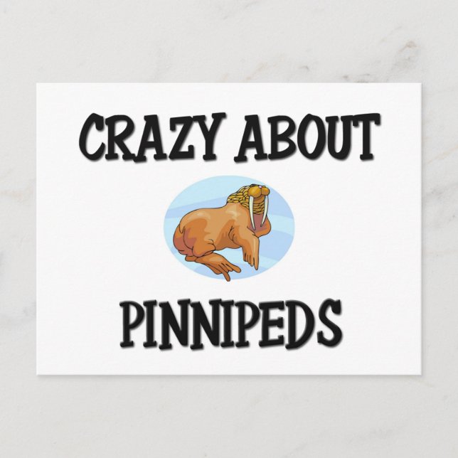 Postal Crazy Acerca De Pinnipeds (Anverso)