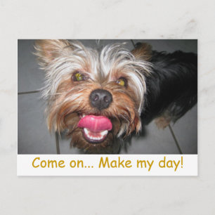 Postal Crazy Jasper ~ Postcard