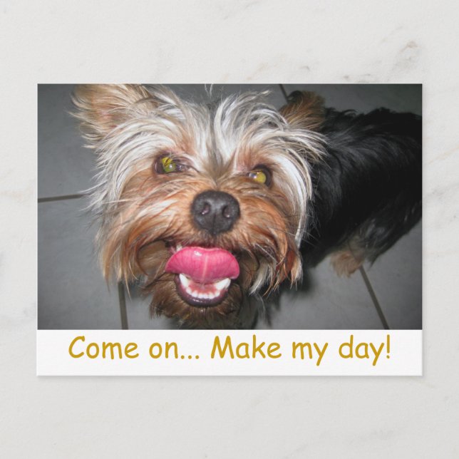 Postal Crazy Jasper ~ Postcard (Anverso)