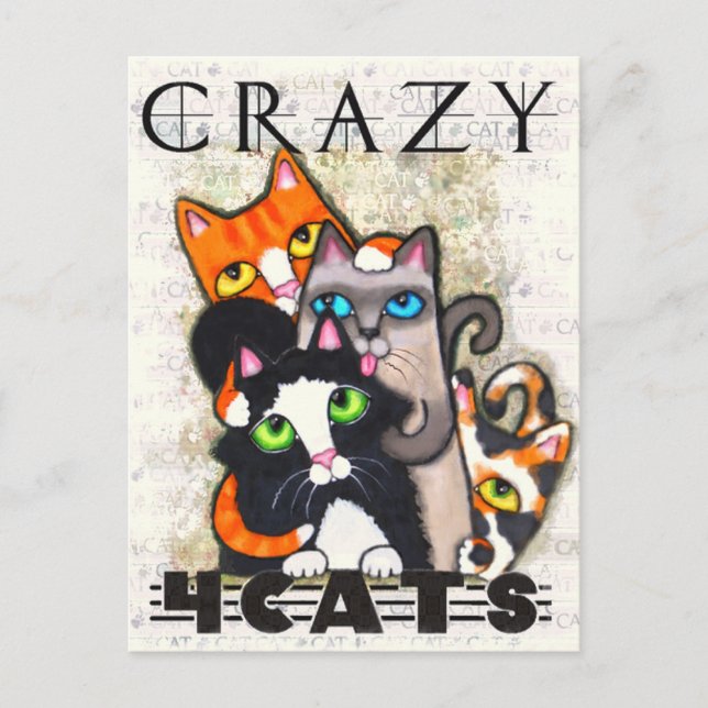Postal Crazy Para Gatos Postcard (Anverso)