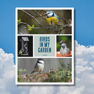Postal Crea tu propia colección de fotos de aves en el ja