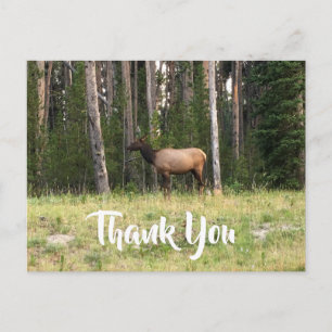 Postal Crea tu propia foto de Elk Gracias