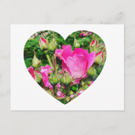 Postal Crea tu propia foto de forma cardíaca