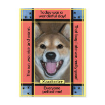 Crea tu propia foto divertida de perro o gato