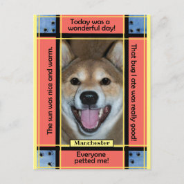 Postal Crea tu propia foto divertida de perro o gato