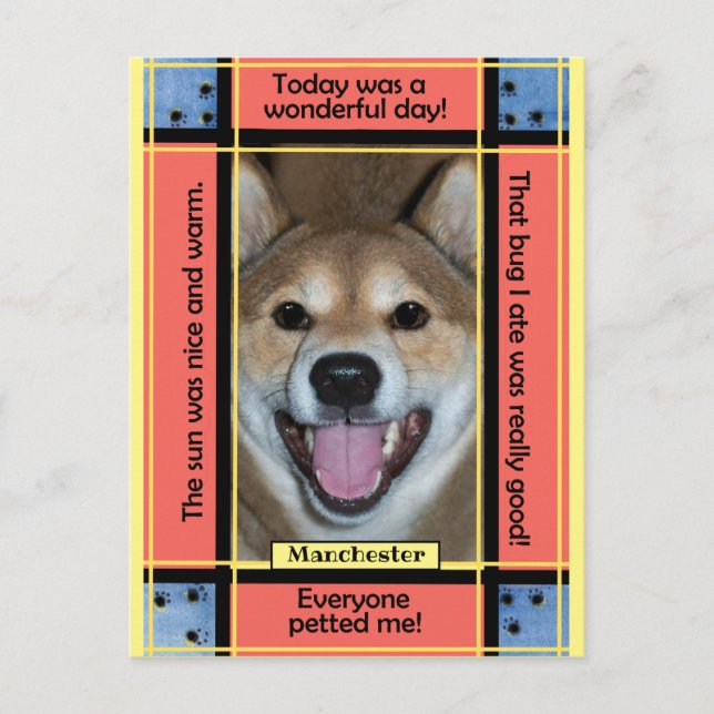 Postal Crea tu Propio Texto Divertido de Foto de Perro Ga (Anverso)