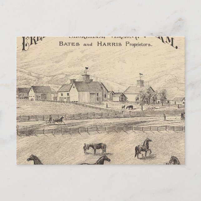 Postal Cream Hill Stock Farm en Shoreham Vermont (Anverso)