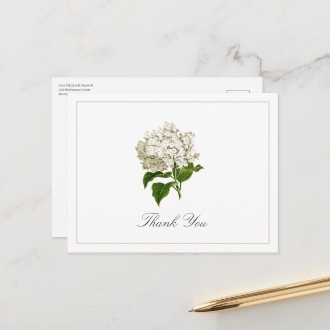 Postal Cream White Hydrangea Bloom Traditional Thank You (Anverso/Reverso In Situ)