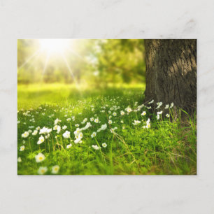 Postal Crear su propia foto Personalizado personalizada