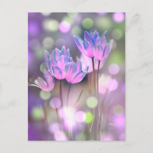 Postal Crear sus propias flores personalizadas de primave