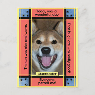 Postal Crear tu propio Mascota Perro Gato Foto Graciosa T