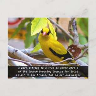 Postal Cree en ti mismo, Pájaro Amarillo Posado en Rama