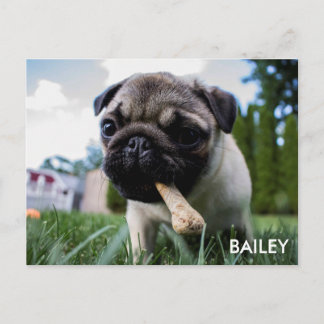 Postal Cree su propia foto de encargo