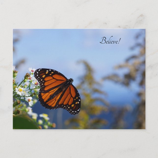 Postal ¡Creed! (Anverso)