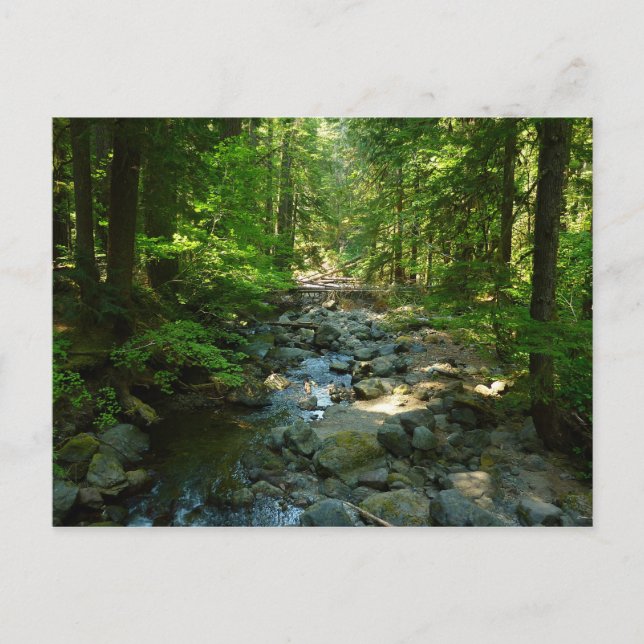 Postal Creek de agua risible en el Parque Nacional Mount  (Anverso)