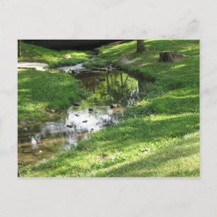 Postal Creek de bonito