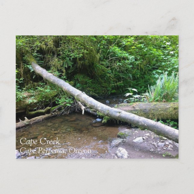 Postal Creek de Cabo Perpetua, Oregón (Anverso)