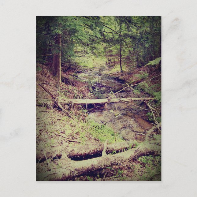 Postal Creek de la península superior (Anverso)