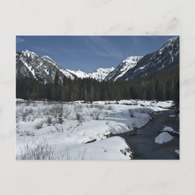 Postal Creek de oro (Anverso)