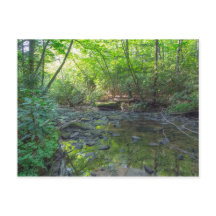 Creek de sacrificio de perros, Kentucky