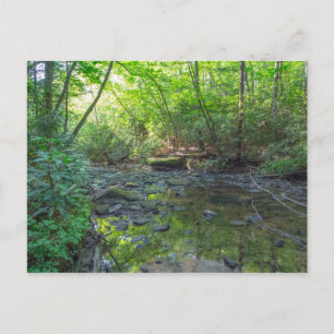 Postal Creek de sacrificio de perros, Kentucky