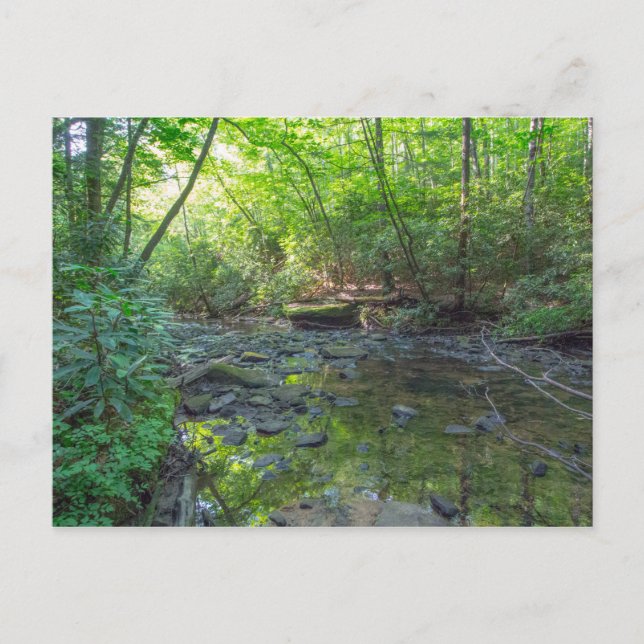 Postal Creek de sacrificio de perros, Kentucky (Anverso)