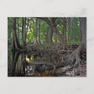 Postal Creek de tablillas.