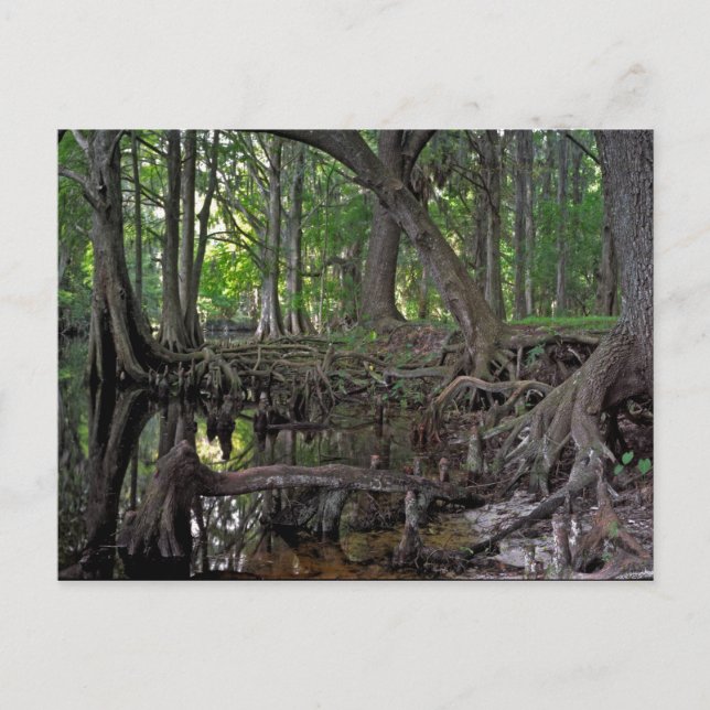 Postal Creek de tablillas. (Anverso)