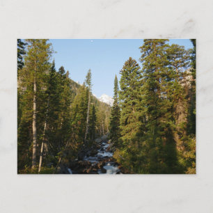 Postal Creek en cascada en Grand Teton