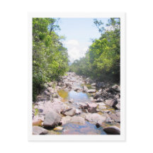 Creek en el paisaje de la jungla en Venezuela