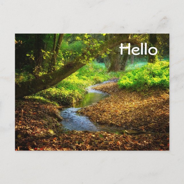Postal Creek forestal Hermoso paisaje natural Foto (Anverso)