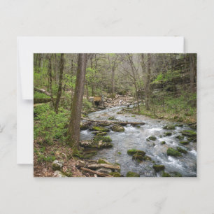 Postal Creek North Sylamore