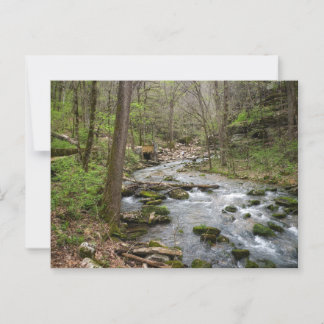 Postal Creek North Sylamore