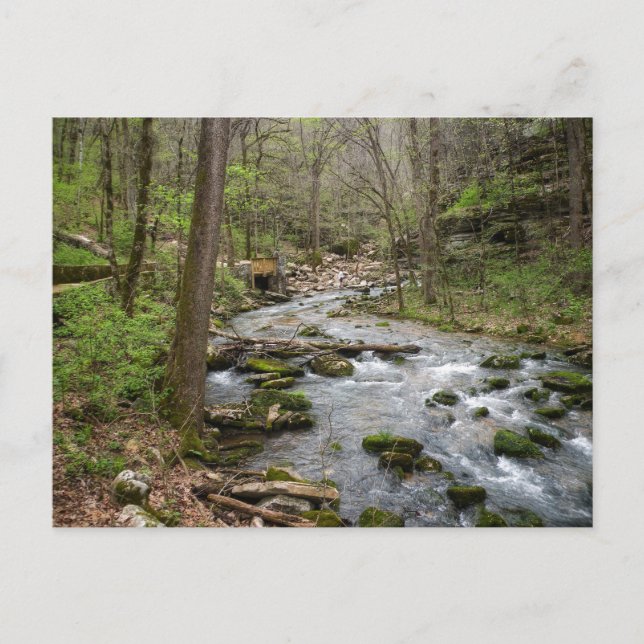 Postal Creek North Sylamore (Anverso)