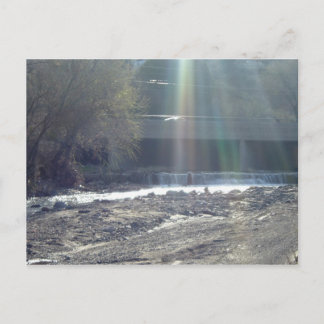 Postal Creek Pinal
