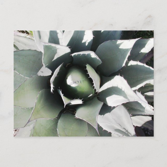 Postal Creel, cañón de cobre, México (Anverso)