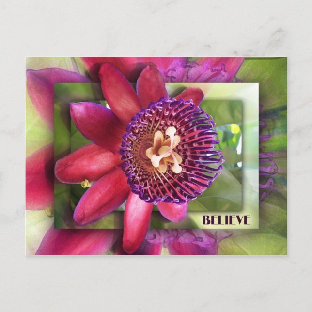 Postal Creer (Anverso)
