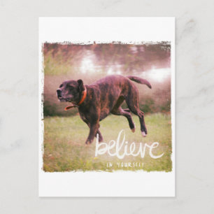 Postal Creer en tu propio perro