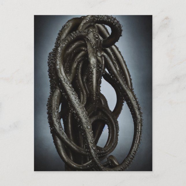 Postal Crepúsculo del pulpo desconocido (Anverso)