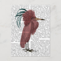 Crested Marsala Bird