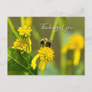 Postal Creyendo En Tu Postcard